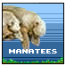 Topic Icon